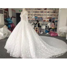 Aolanes Real Sample Bridal Wedding Gown